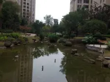 金科大2房 户型方正 视野开阔 采光好