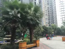 直港 福星颐美华庭三房66.9万