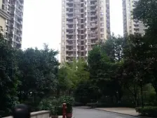 金阳罗马假日 1室1厅 东北