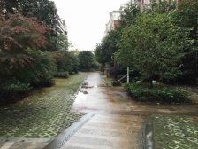 红角洲精装修大独栋,可以直接拧包入住,看房方便