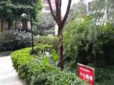 南坪 青青佳苑南苑三房125万