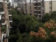 名门世家二期 南北通透,采光好 装修好,环镜优美 近地铁 中间楼层