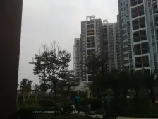 大朗精装修三房 业主自住 2015年次新小区