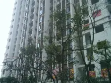 石坪桥 望京有人醉二房70万