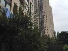 精装正四房,户型采光好,生活配套完善