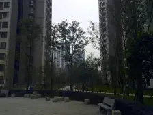 东福宏洲 2室2厅 东南