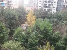 水木年华(渝北) 4室1厅 南