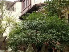 西区 富悦麓山别苑四房180万