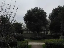 绿地香颂70年产权别墅 中叠 大阳台带车位 性价比很高