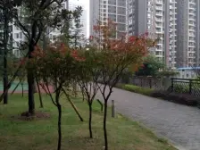 鱼洞 渝开发上城时代一房