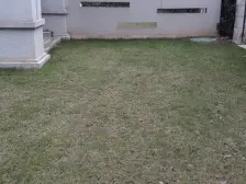 6楼复式,楼层位置好,采光充足