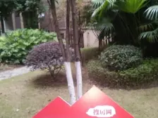 装修才两年的洋房,业主装修了60万,有地下室,花园