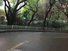 大溪沟 枣子岚垭正街二房63万