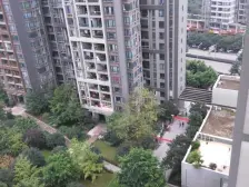 龙头寺 鲁能星城十一街区三房175万
