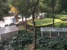 龙头寺 仁安龙城国际三期二房