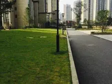 巴国城 清水 三室两厅凤凰楼层 视野开阔 房间开敞明亮