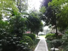 龙头寺 鲁能星城 精装公园三房 随时看房 安心卖中巴