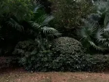 和泓四季A区大三房双卫配套成熟鱼才