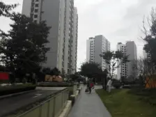 南滨路一线江景小高层 楼层高视野好 近轻轨