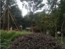 户型方正 交通便利 物管负责 业主诚心卖