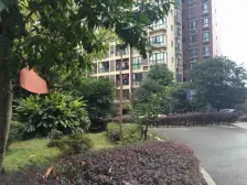 两路空港 红树林二房88万