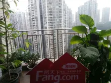 品质洋房住宅小区,单价1万.性价比高。