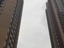 小区绿化环境优美,处在新城区,户型方正