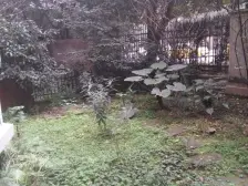 龙头寺 中央美地四房155万