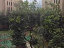 正规四房 清水的洋房 全看龙头寺公园 业主安心出售