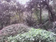 高新区 大川国际二房35万