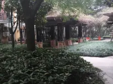 龙头寺 中央美地四房