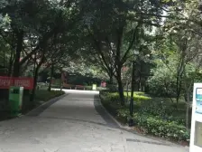 南坪东路 阳光社区二房37万