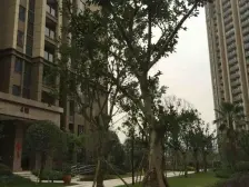 首创光和城方正两房带20平露台,位置安静,出行方便