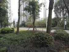 宗申青年国际 2室2厅 东南