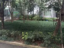 两路老城 丽景天成三房92万