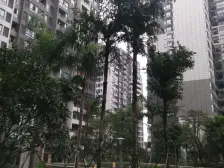 风花树唯一一套清水 一梯两户纯板式看江洋房