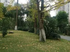 区优质户型,视野采光好,小区环境优雅,住家舒适