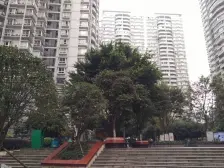 杨家坪商圈西郊+公务员小区住家环境好