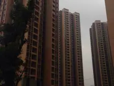 璧山次新小区 春和景明小高 四房 户型方正