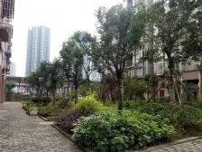 东福宏洲 2室1厅 南 西