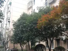 中层采光视野好,税费低购房成本低,看房方便交通方便