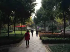 巴国城 金科西城大院二房73.8万