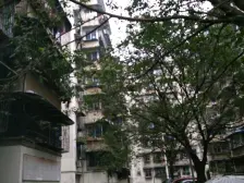 堆金村 1室1厅 东