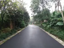 农业园区 常青藤四房385万