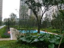 富力城河畔里 1室0厅 南