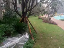 西区 中航翡翠城高层三房