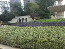 汇仁阳光花园北区 3室2厅 南