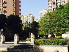 近地铁品质小区税费少价格好户型正采光好诚意出售