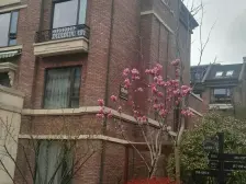 金地艺华年(别墅) 4室2厅 南 北