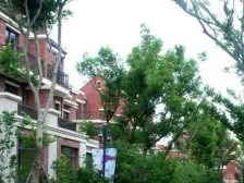 地铁站900米临河上叠别墅东边套视野开阔采光通透静谧